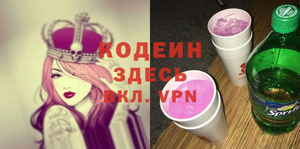 индика Вязники