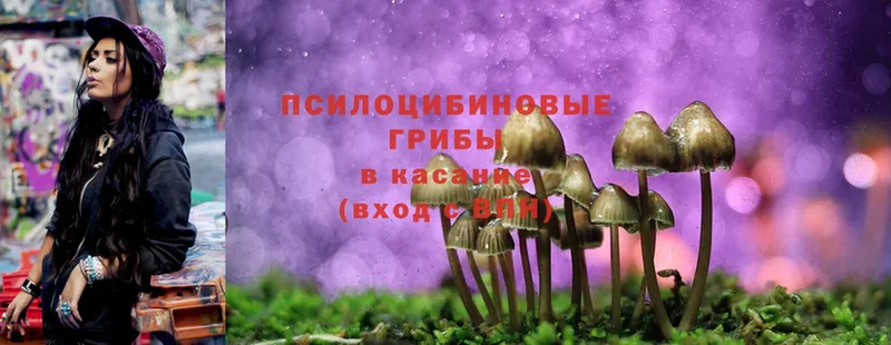 Псилоцибиновые грибы MAGIC MUSHROOMS  дарнет шоп  blacksprut как войти  Куса 